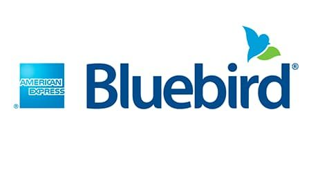 Buy Bluebird bank 2 year aged Account + VCC