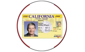 Driving License – USA (All States)